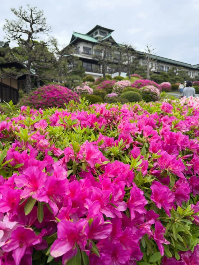 4月25日
【傷み】
六角堂 付近