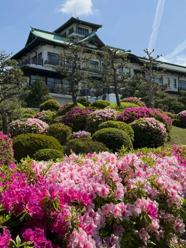 4月26日
【傷み】
六角堂付近