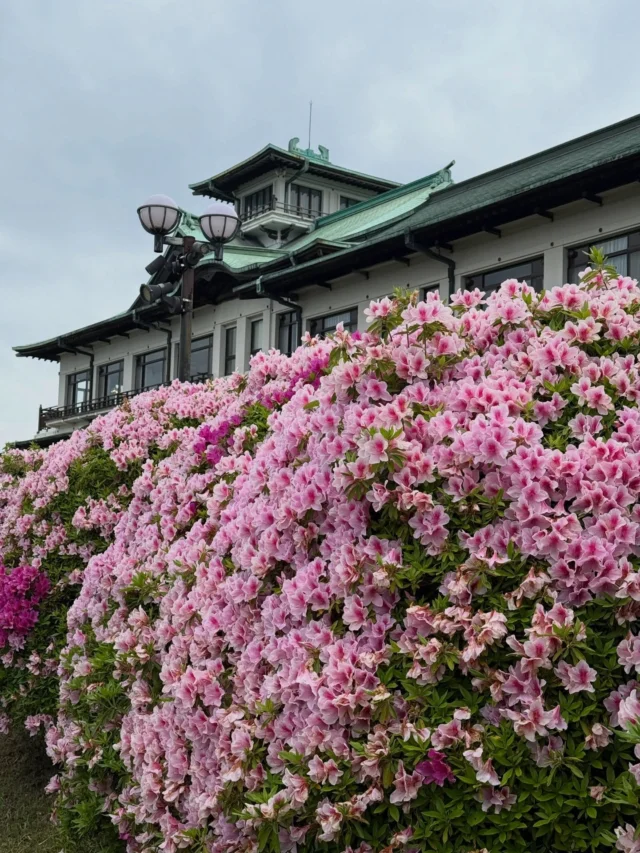 4月25日
【傷み】
ホテル前庭園