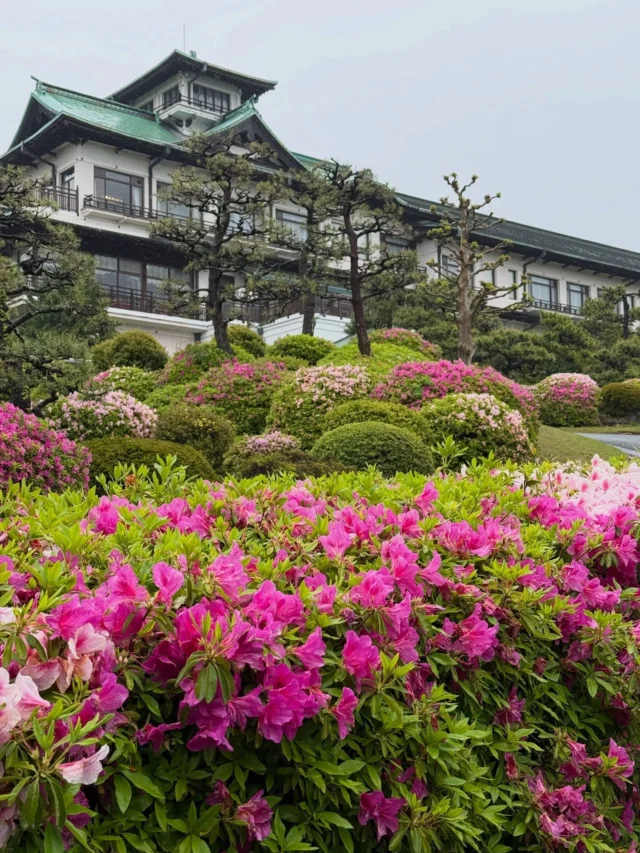 4月27日
【傷み・落花】
六角堂付近