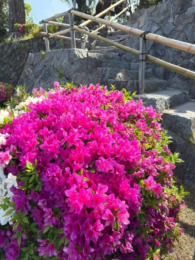 4月26日
【傷み】
ホテル入口付近