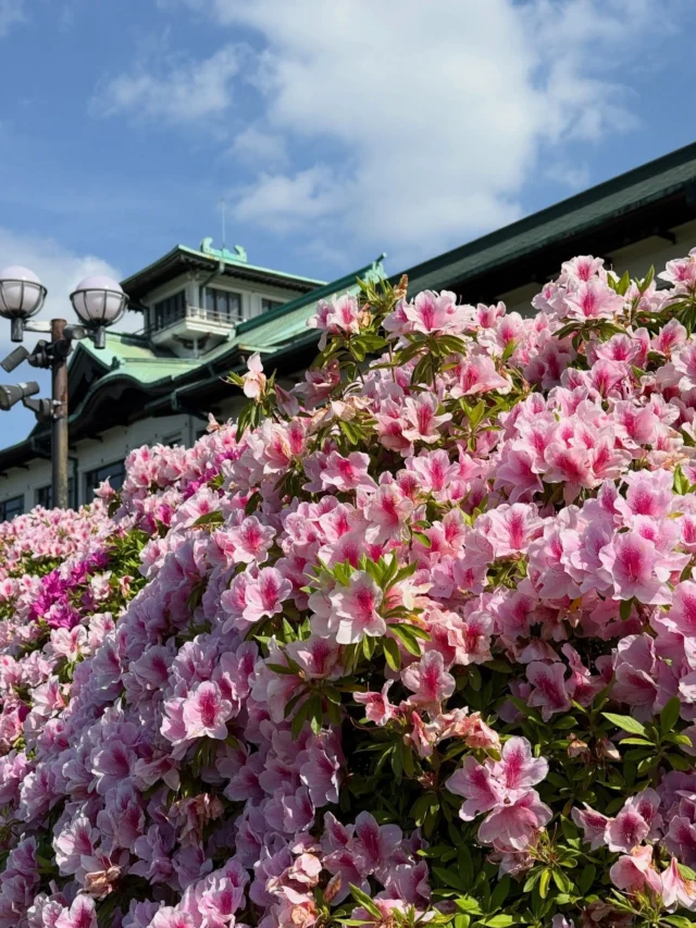 4月26日
【傷み】
ホテル前庭園