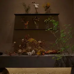 ドライフラワーイメージ