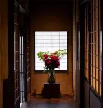 廊下と花