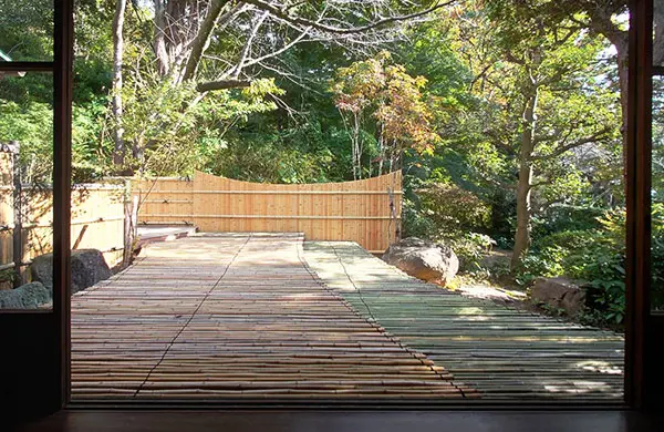 部屋越しの東の庭